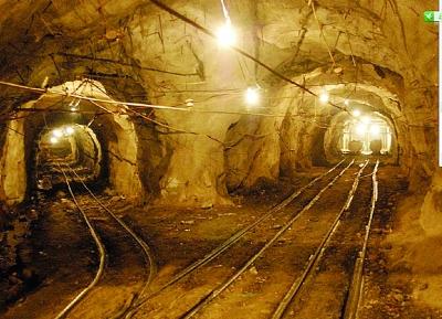 堅決反對華而不實(shí)嘩眾取寵的盆景項(xiàng)目和形象工程 堅持生態(tài)保護(hù)自然恢復(fù)為主